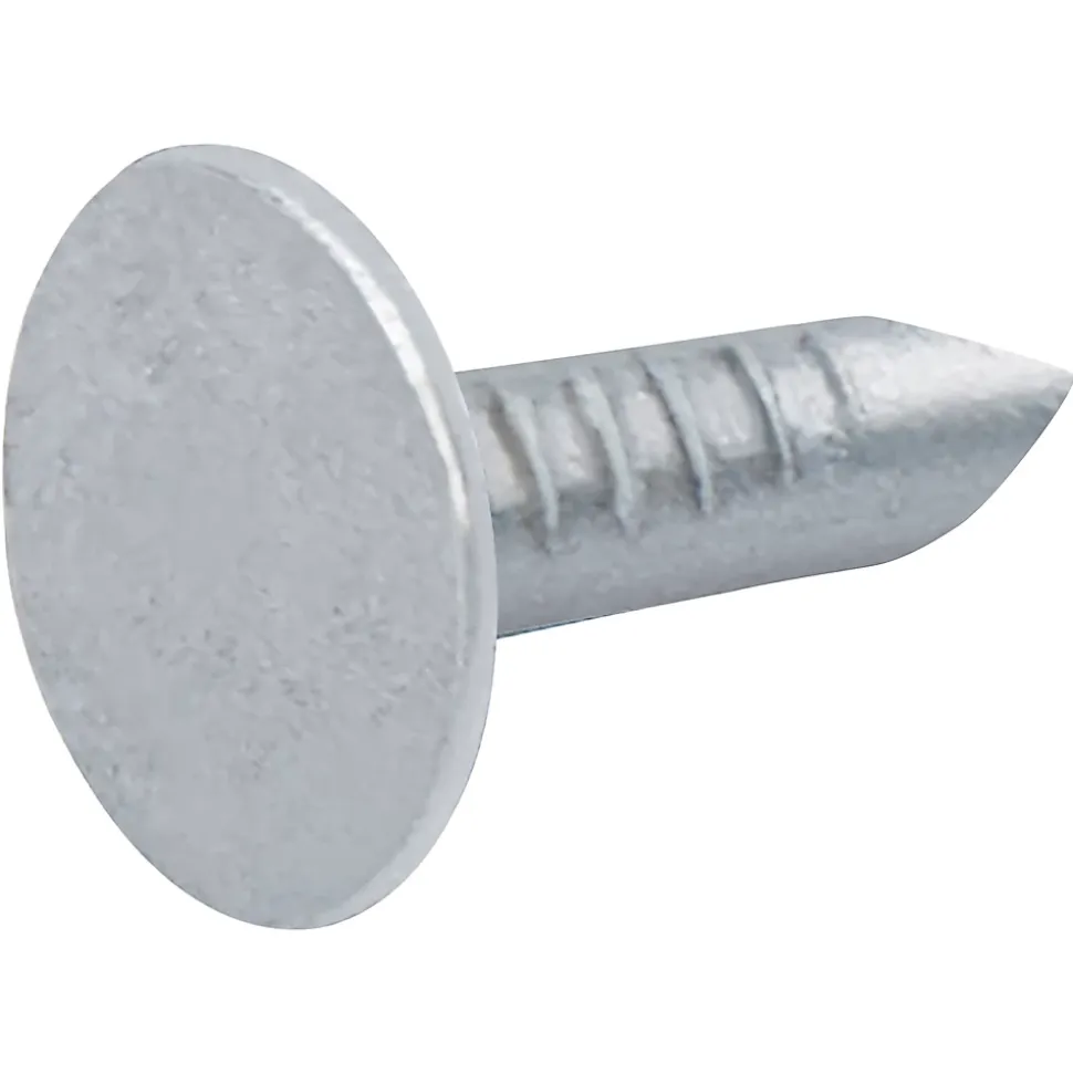 Clous à tête plate en acier galvanisé 3x12 - 1kg
