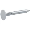 Clous à tête plate en acier galvanisé 3x30 - 2kg