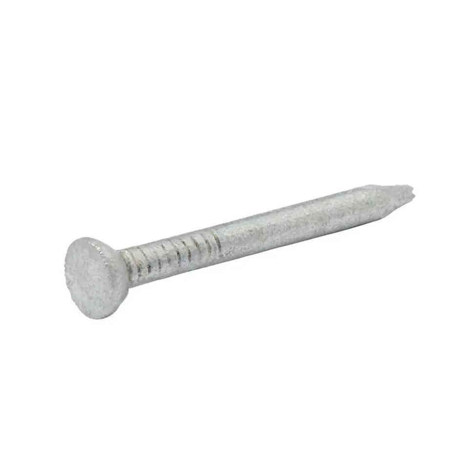 Clous de maçon en acier galvanisé ∅2,5 x25mm - 125g