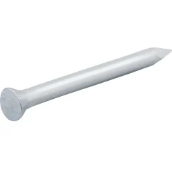 Clous de maçon en acier galvanisé 5x25 - 1kg