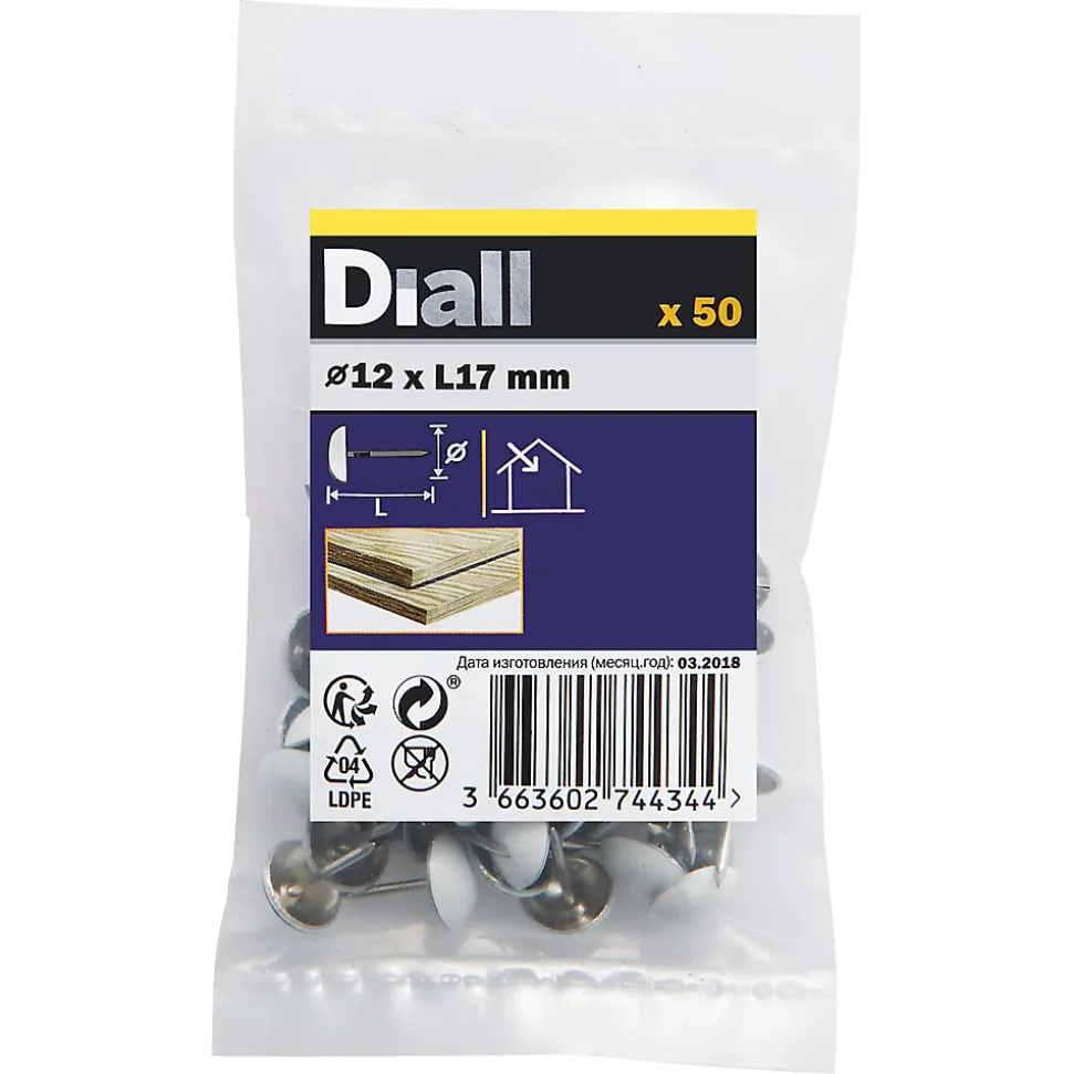 Clous tapissiers blancs - sachet de 50 pièces Diall