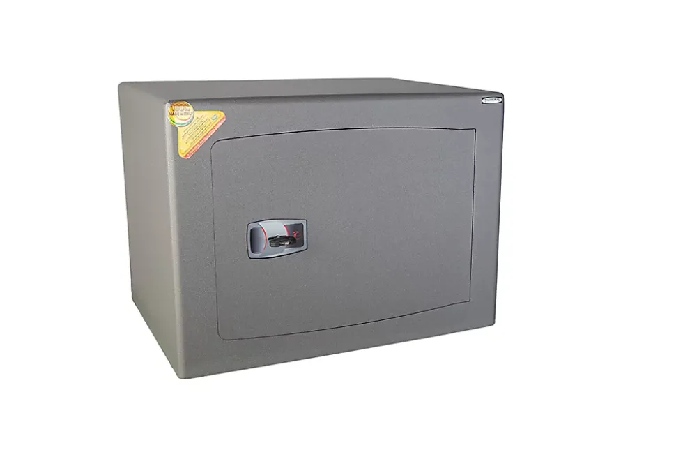 Coffre fort certifié à clé à fixer DMK/5 - 47 L - TECHNOMAX