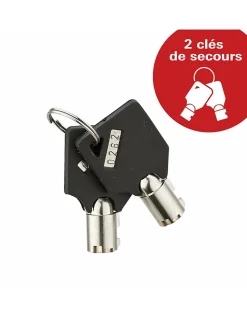 Coffret de sécurité à poser Vincennes, fermeture électronique à code, 2 pênes, 53L - THIRARD