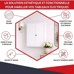 Coffret d'habillage ATOLE en acier avec clé pour tableaux électriques double - H 54 x L 58,5 x P 16 cm - Réf. RCH2T316GSS