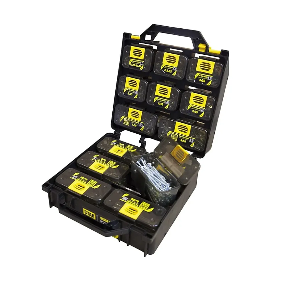 Coffret Professionnel STARBLOCK 1350 Vis Bois Agglo Torx Acier Zingué pour Applications Multiples
