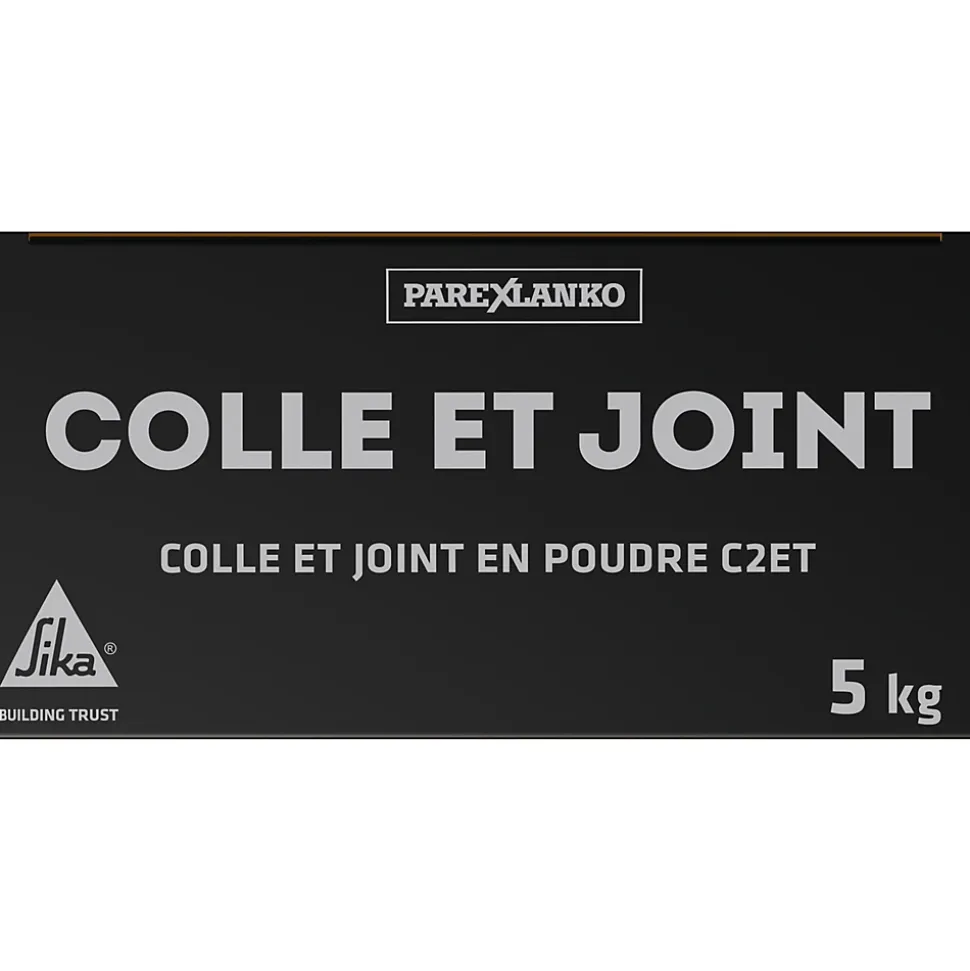 Colle et joint en poudre 5 kg blanc Parexlanko