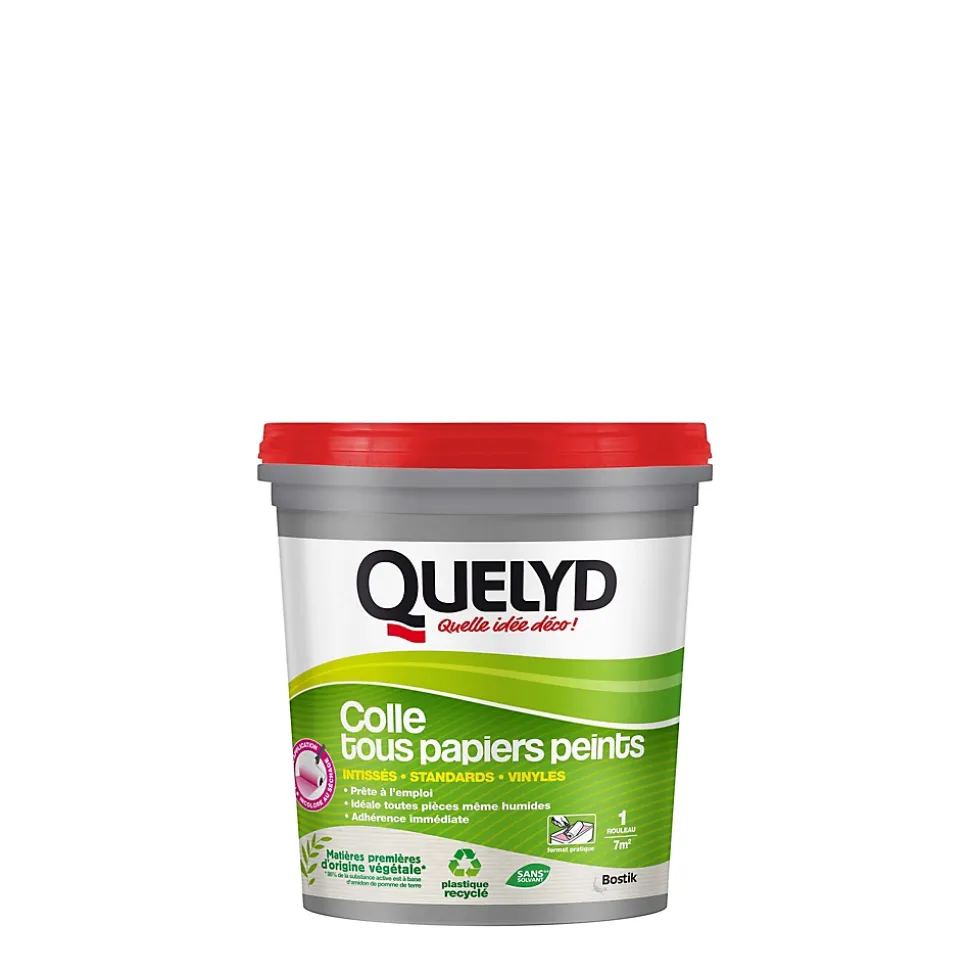 Colle papier peint Quelyd pâte avec indicateur coloré 1kg