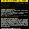 Colle Pattex Ni clou ni vis tous travaux intérieur et extérieur cartouche 450g
