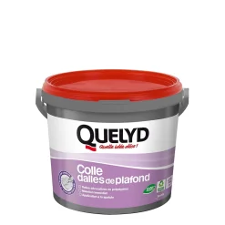 Colle Quelyd pour Dalles de plafond Pâte 4 kg