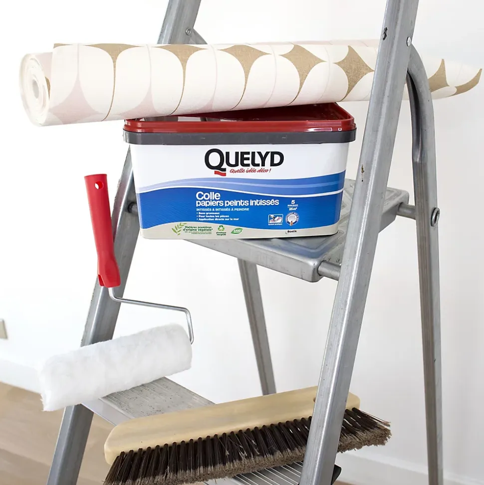 Colle Quelyd pour papier peint intissé doseur intégré 3kg