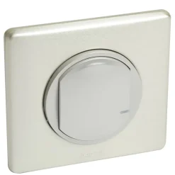 Commande sans fil Céliane with Netatmo pour éclairage ou prise connectée ou micromodule titane