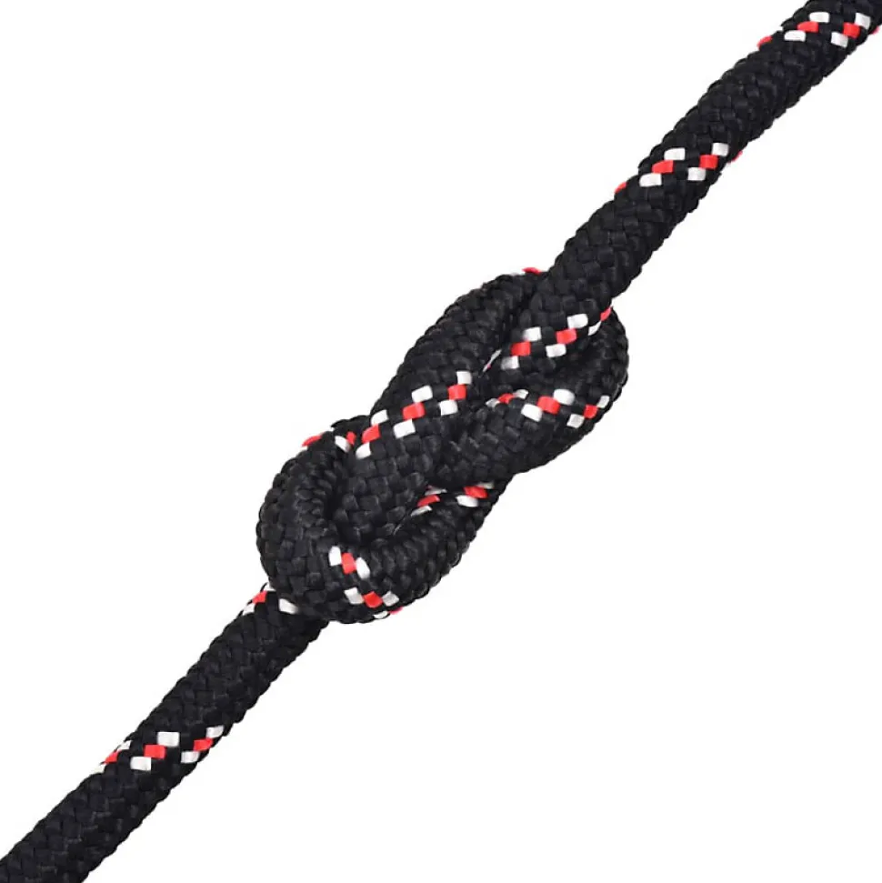 Corde de bateau Polypropylène 8 mm 100 m Noir