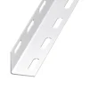 Cornière perforée acier époxy blanc 38 x 38 mm, 2 m
