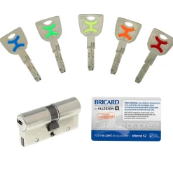 Cylindre débrayable Bricard mistral 2 entrées 30x30 mm