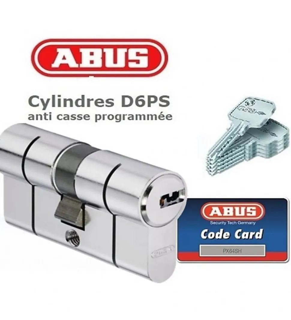 Cylindre de sécurité pour porte barillet 30 x 50 mm D6PS ABUS 5 clés