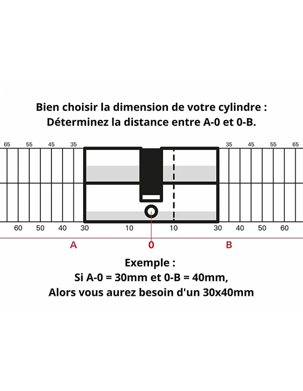 Cylindre de serrure à double entrée Tiger 6 Dynamic, 45x65mm, nickelé, anti-arrachement, anti-perçage, 5 clés - SP