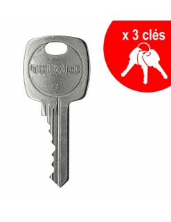 Cylindre de serrure double entrée, 40x60mm, anti-arrachement, nickel, 3 clés - THIRARD
