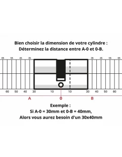 Cylindre de serrure double entrée SA, 20x20mm, anti-arrachement, laiton, 3 clés - THIRARD