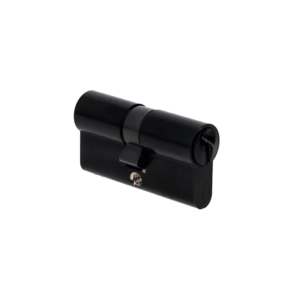 Cylindre de Serrure 30X30 mm finition PVD noir Vachette V5 3 clés
