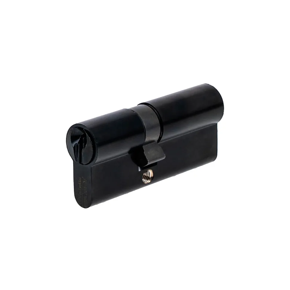 Cylindre de Serrure 30X40 mm finition PVD noir Vachette V5 3 clés