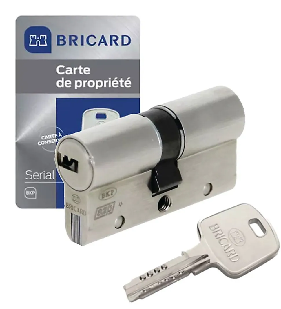 Cylindre serrure européen double entrée 30 x 40 mm debrayable 4 clés Serial S A2P 1 BRICARD
