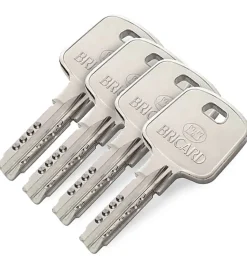 Cylindre serrure européen double entrée 30 x 40 mm debrayable 4 clés Serial S A2P 1 BRICARD