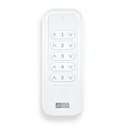 Delta Dore - Télécommande 5 Canaux - Tyxia 1700