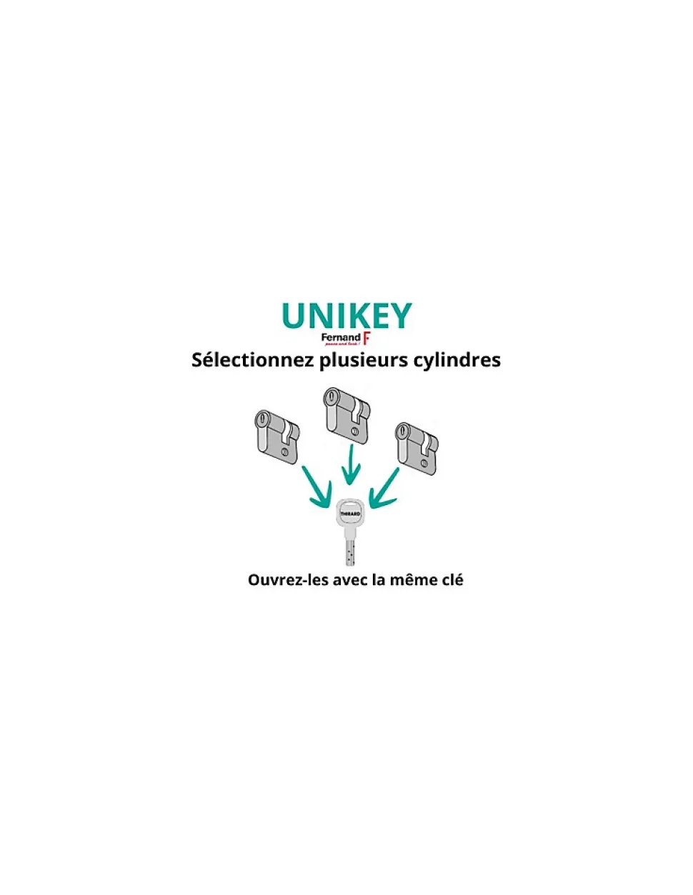 Demi cylindre de serrure Transit 1 UNIKEY (achetez-en plusieurs, ouvrez avec la même clé), 40x10mm, 5 clés, nickelé - THIRARD