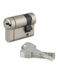 Demi cylindre de serrure Transit 1 UNIKEY (achetez-en plusieurs, ouvrez avec la même clé), 40x10mm, 5 clés, nickelé - THIRARD