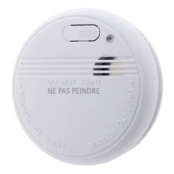 Détecteur fumée 5 ans + pile Otio