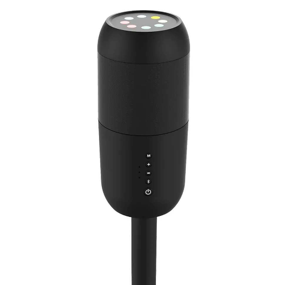 Enceinte extérieure 10W, RVB, IPX5 Rechargeable USB