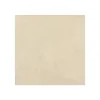 ENDUIT DE CUVELAGE PISCINE FINITION BETON CIRE - ARCACIM DECO Crème Ivoire - 8 m² - ARCANE INDUSTRIES