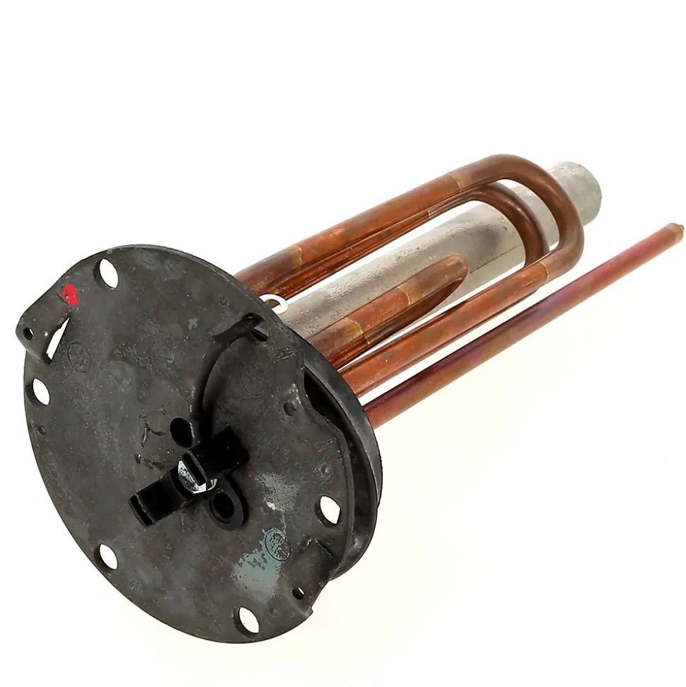 Ensemble resistance 2000w 060413 - chauffe-eau
