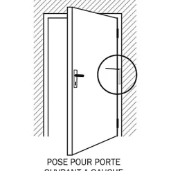 Ferme-porte à tige noir Diall Aluminium