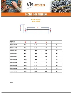 Gond Métaux M6X60 Acier zingué - 1 pièce