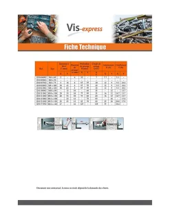 Goujon Ancrage M10X80 Acier zingué - 20 pièces