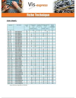 Goujon Ancrage R-XPT M6X85 Acier zingué - 30 pièces