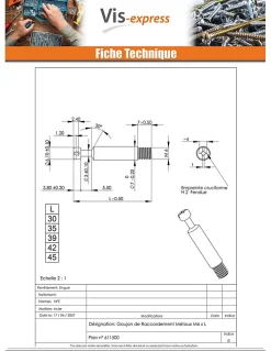 Goujon RACCORDEMENT Métaux 6X35 Acier zingué - 200 pièces
