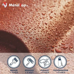 Hydrofuge Toiture - Metaltop - Incolore - Pot 1L