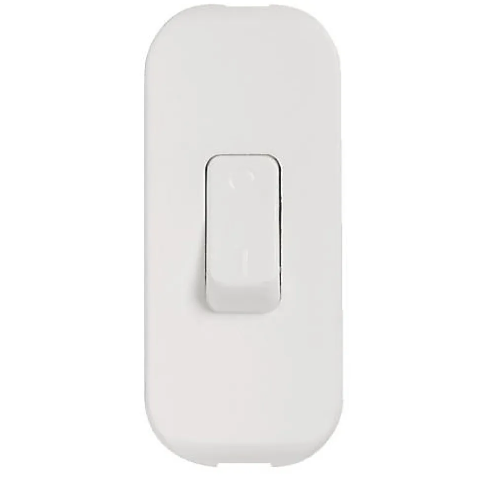 Interrupteur à bascule 2 A 250 V coupure bipolaire à touche de couleur blanc - LEGRAND - 040192