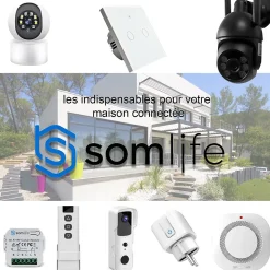 Interrupteur connecté tactile double SomLife application tuya smart life Compatible avec Alexa/Google Home