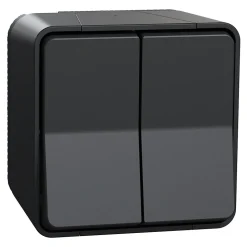 Interrupteur double va-et-vient étanche complet saillie Schneider Electric Mureva Styl anthracite