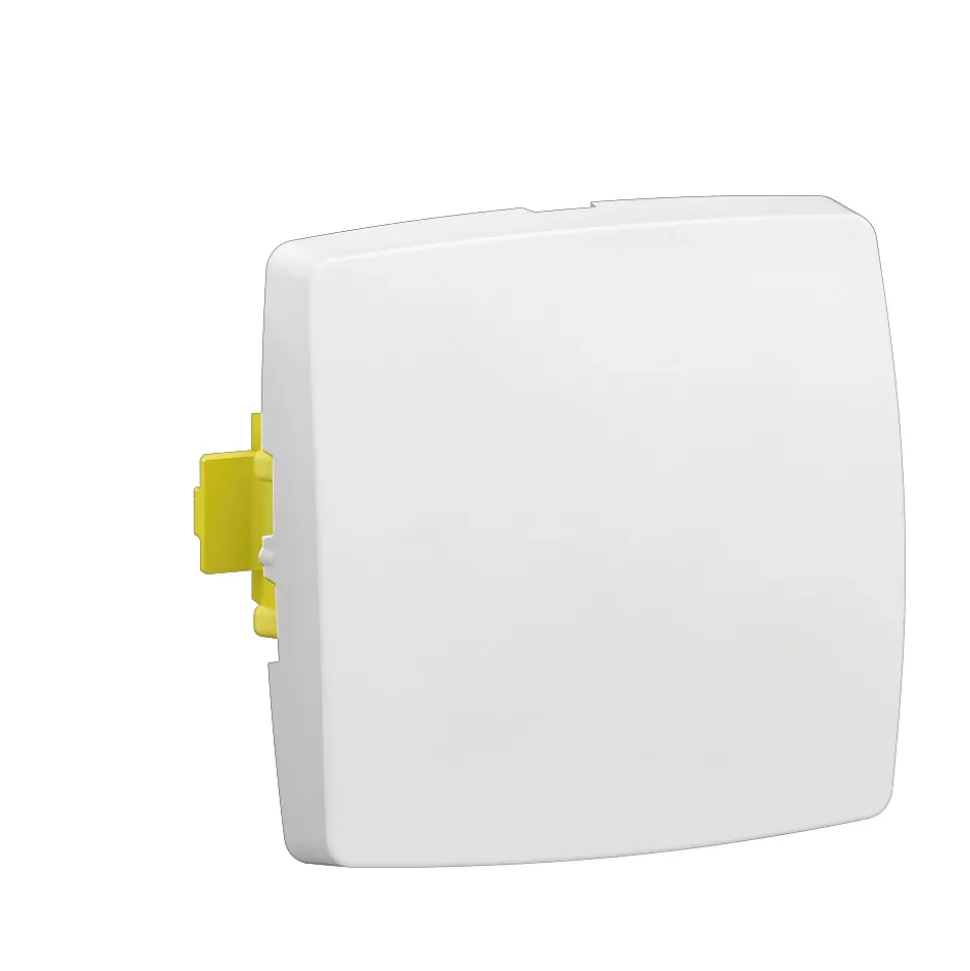 Interrupteur simple pour moulure Legrand à composer blanc