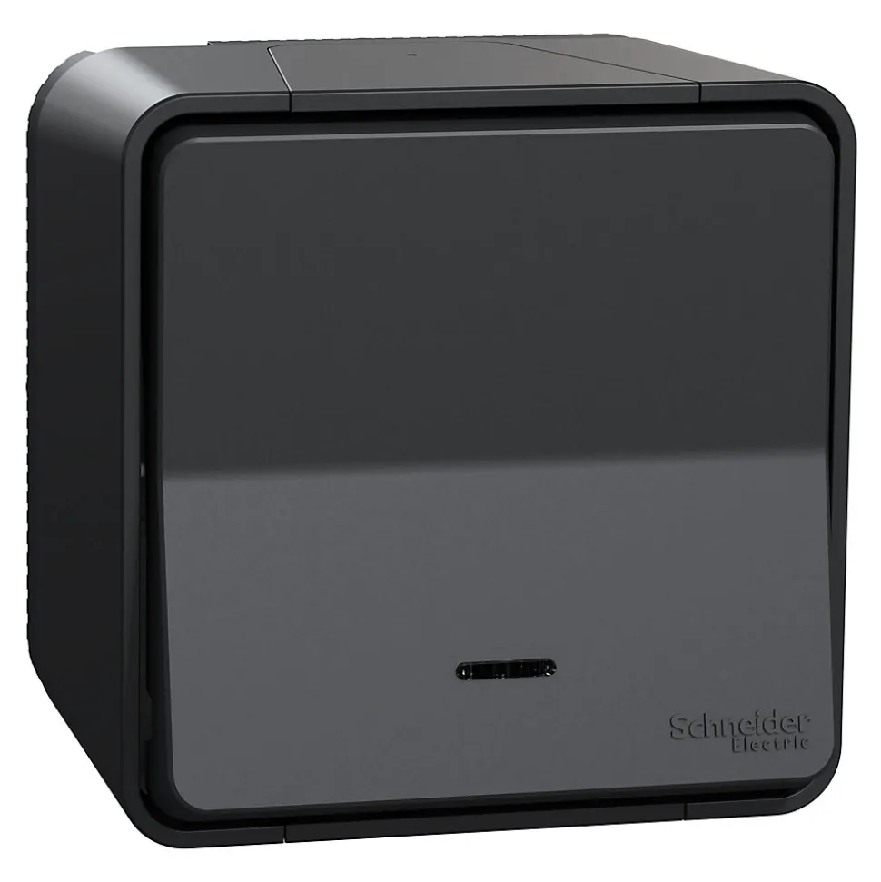 Interrupteur va-et-vient lumineux étanche complet saillie Schneider Electric Mureva Styl anthracite