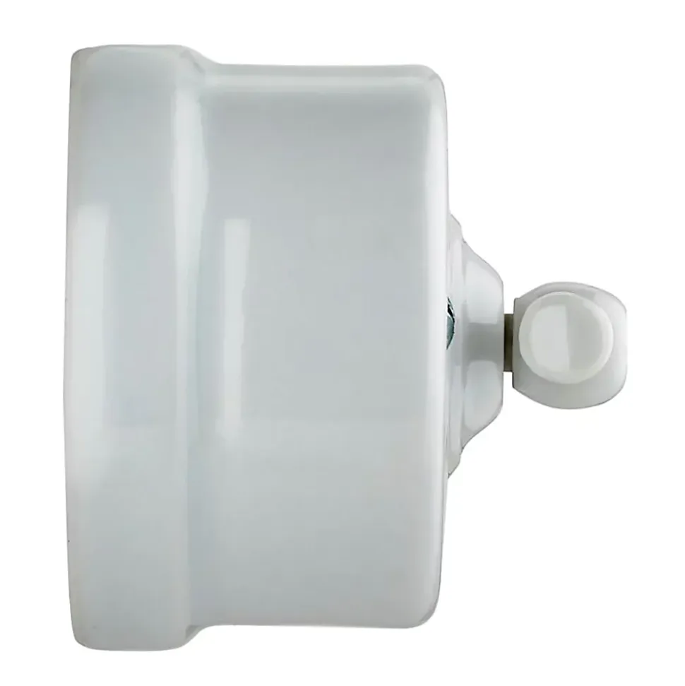 Interrupteur va-et-vient saillie Fontini Garby Porcelaine blanche, manette blanche