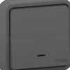 Interrupteur va-et-vient étanche complet encastré Schneider Electric Mureva Styl anthracite