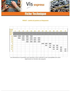 Kg de pointes ARDOISE Tête extra large TEL 2.7X30 Diamètre de tête: 11 Forte tenue à la corrosion Acier galvanisé - 5 pièces
