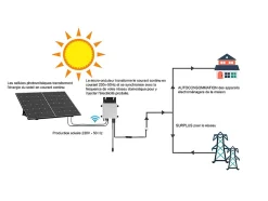 Kit 2 panneaux solaires Plug and Play - 850 W - LUMINOSER