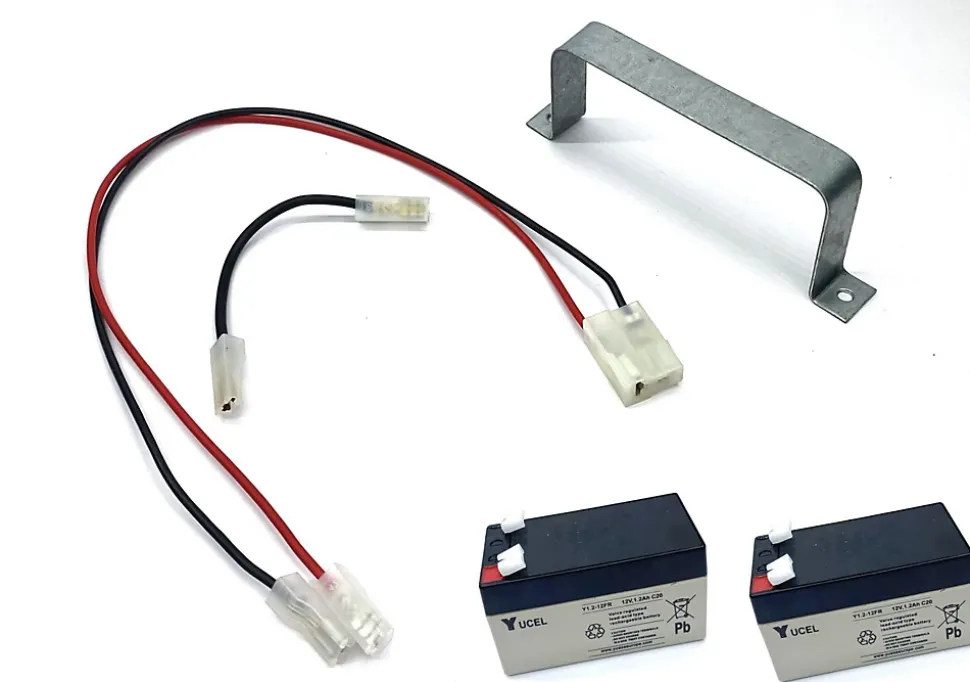 KIT- Automatisme de portail a battants - moteur 24V - AVEC batt. secours - systeme a verins - 250Kg - MYASTER 24 by PROTECO - 1502