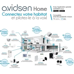 Kit motorisation connectée à vérins pour portail à battants Teha Connect et son ampoule connectée